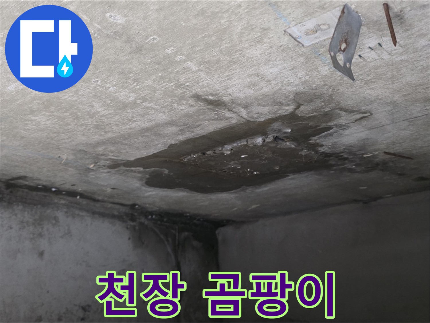 곰팡이로 뒤덮인 콘크리트 천장 - 남양주 오남 누수
