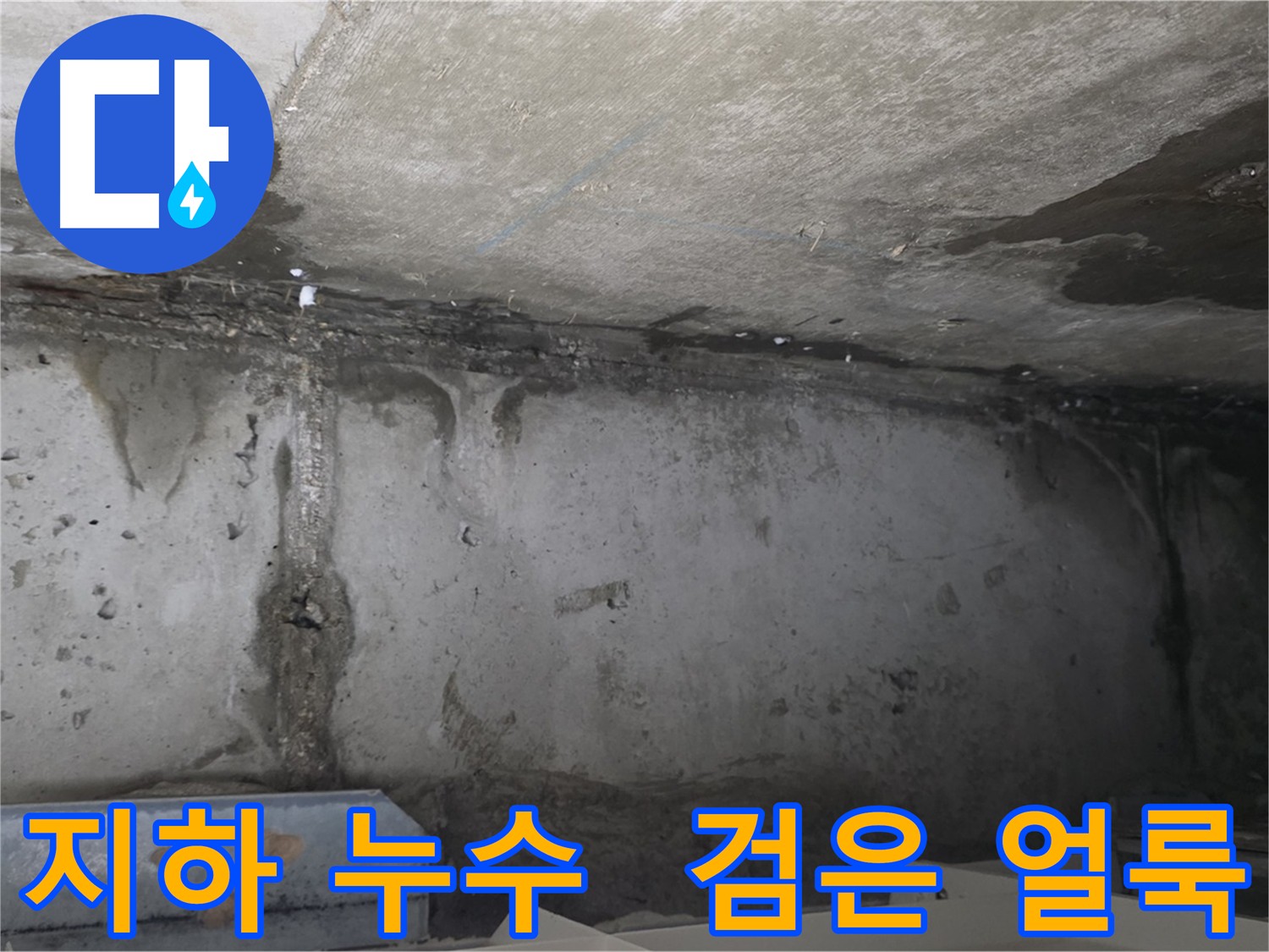 남양주 두산아파트 지하 누수 - 콘크리트 벽 검은 얼룩