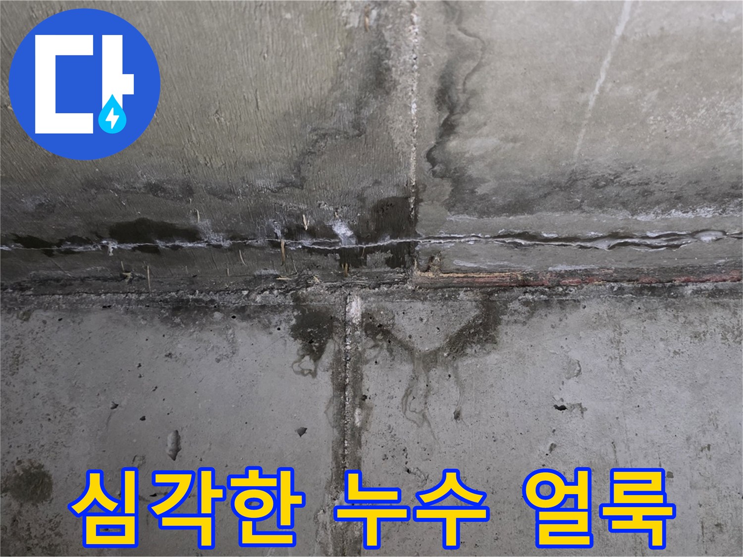 남양주 오남읍 아파트 누수 - 곰팡이와 얼룩의 심각성