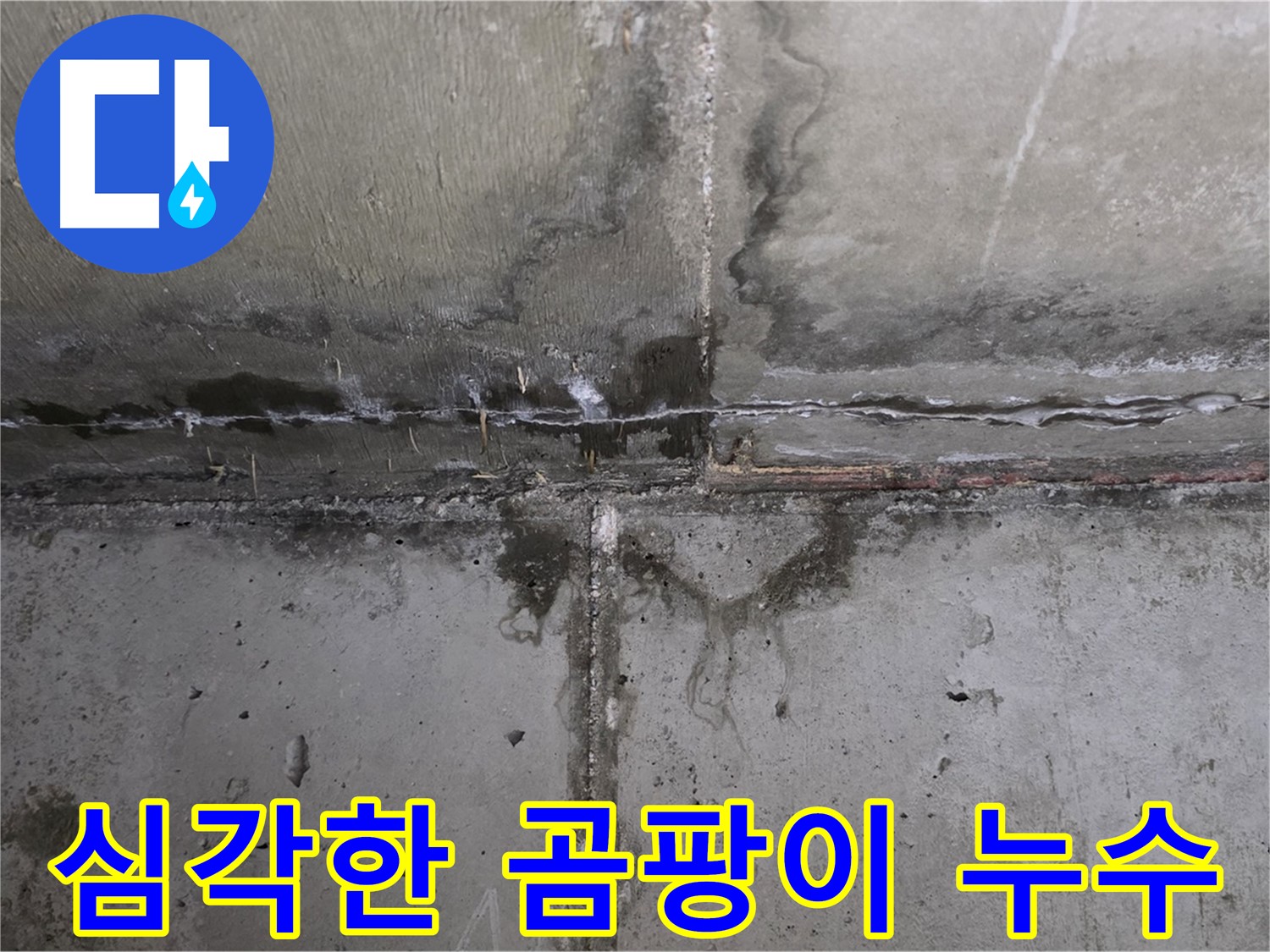 남양주 오남읍 아파트 누수 현장 - 곰팡이 발생 부위 확인