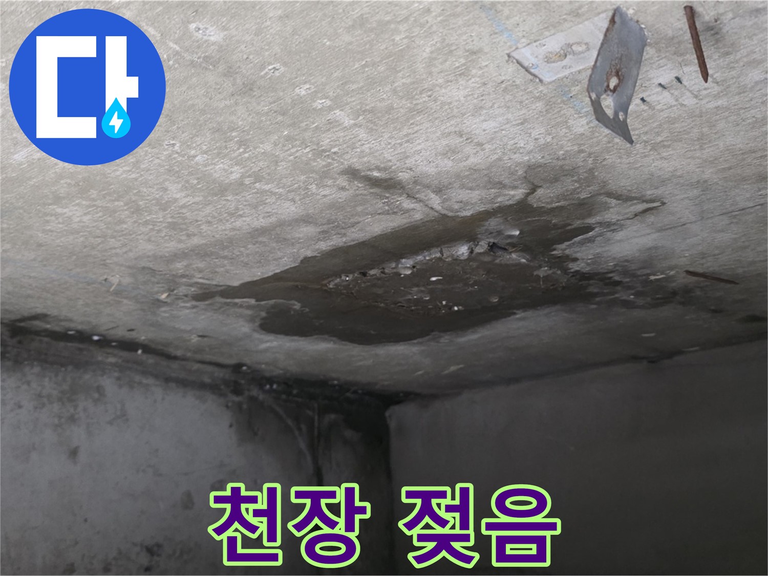 아래층 화장실 천장 젖음 - 손상된 마감재와 곰팡이