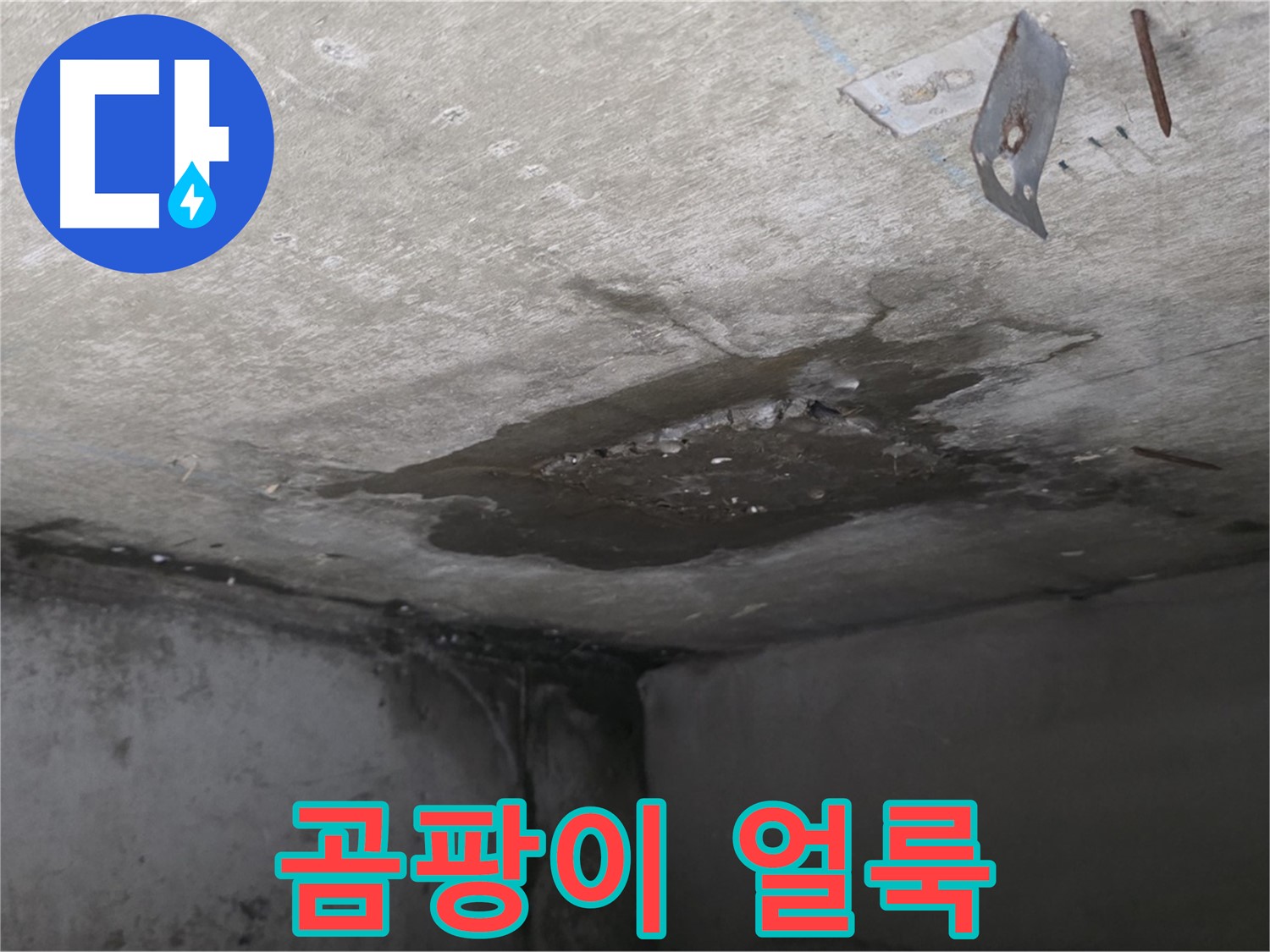 콘크리트 표면 곰팡이 얼룩 - 남양주 오남 누수