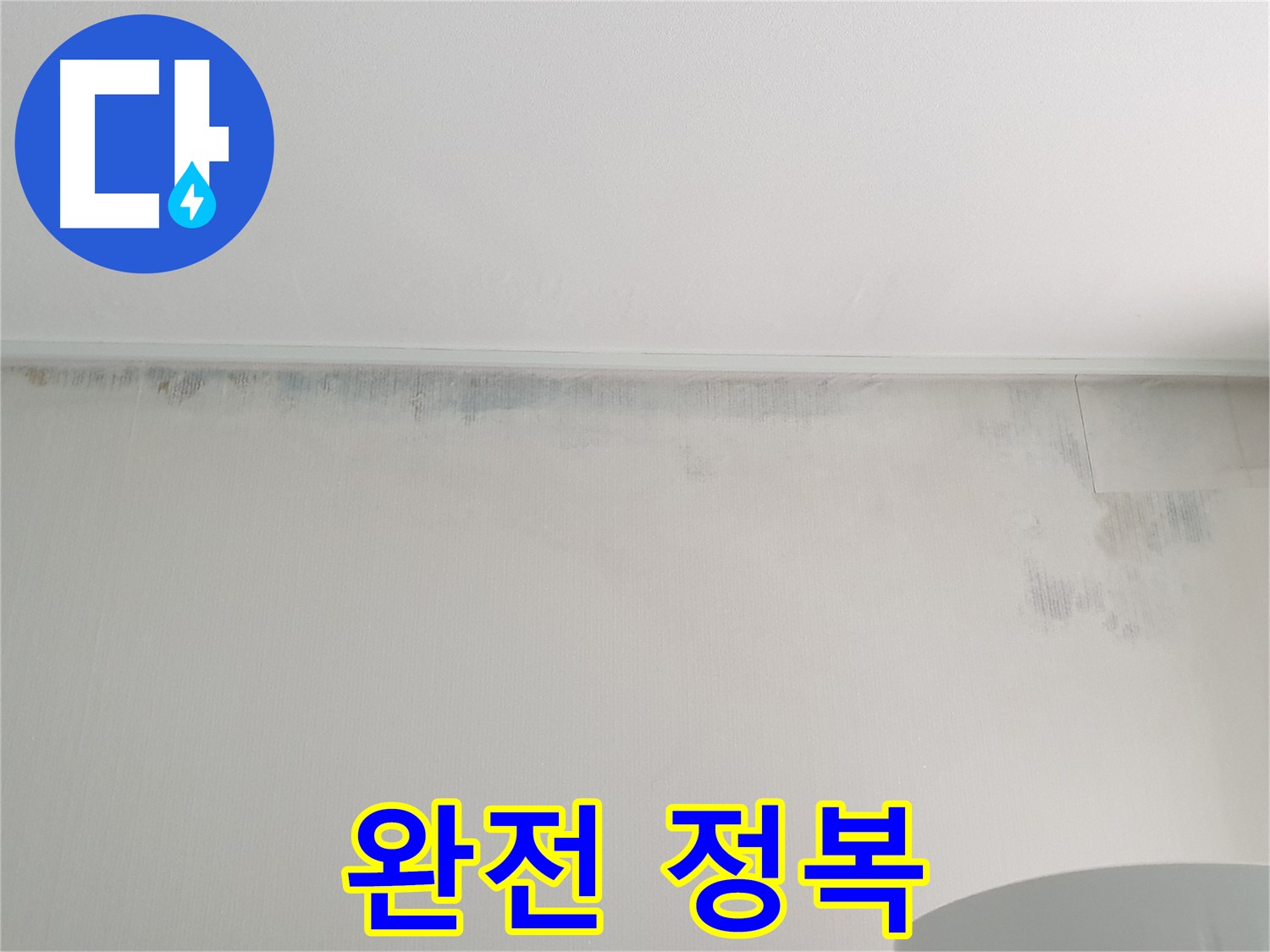 노원구 중계동 곰팡이 - 곰팡이 완전 정복