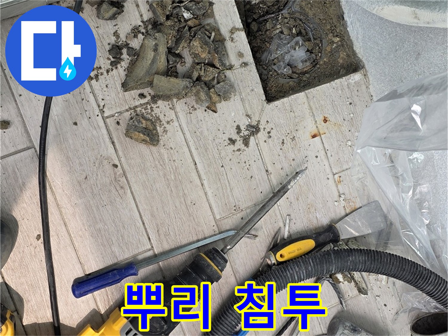 노원구 중계동 - 굴착 작업 중 발견된 배관 주변의 뿌리 침투