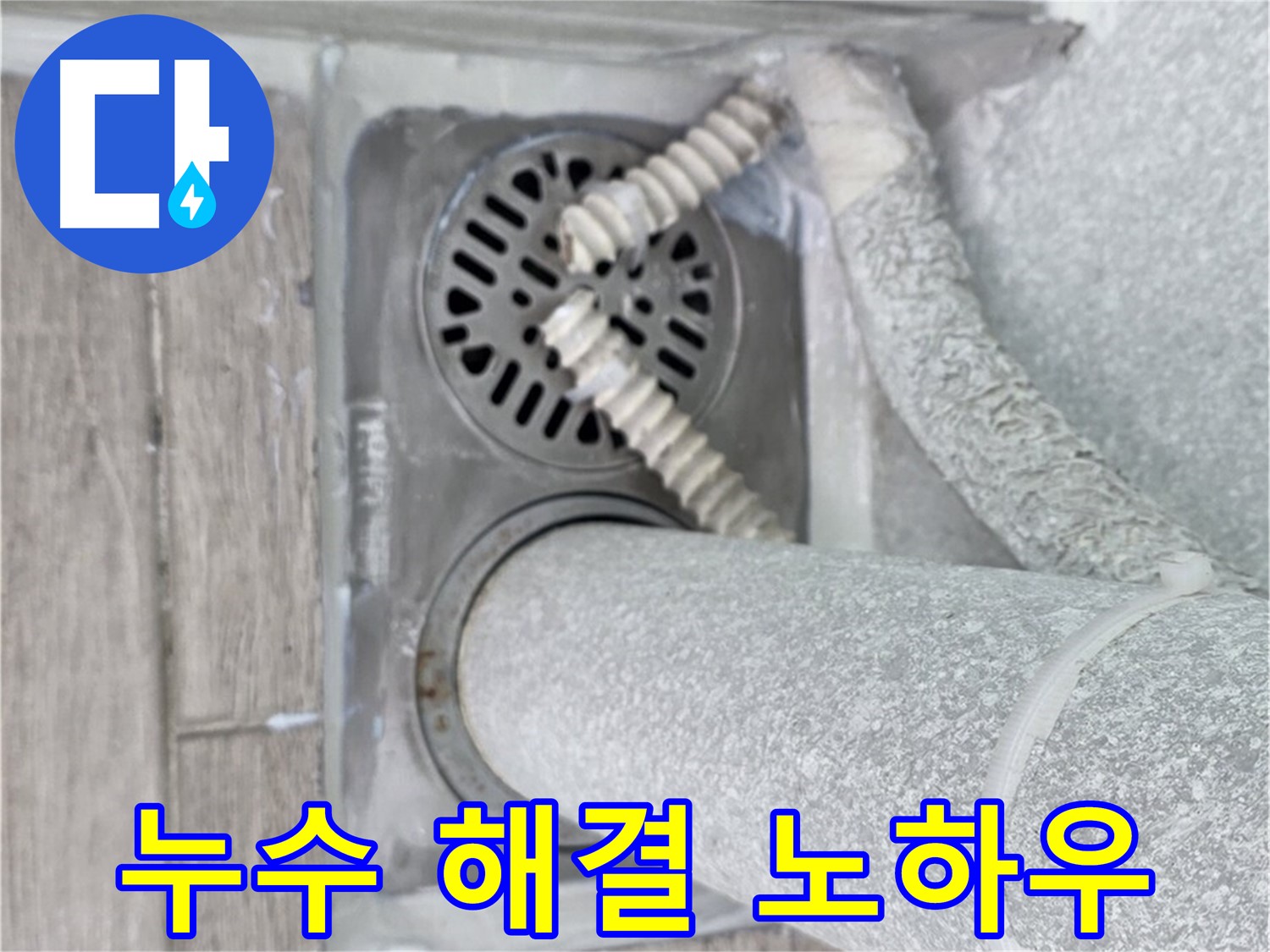 노원구 중계동 아파트 누수 - 욕실 하수구 주변 누수 완벽 해결 노하우 대공개
