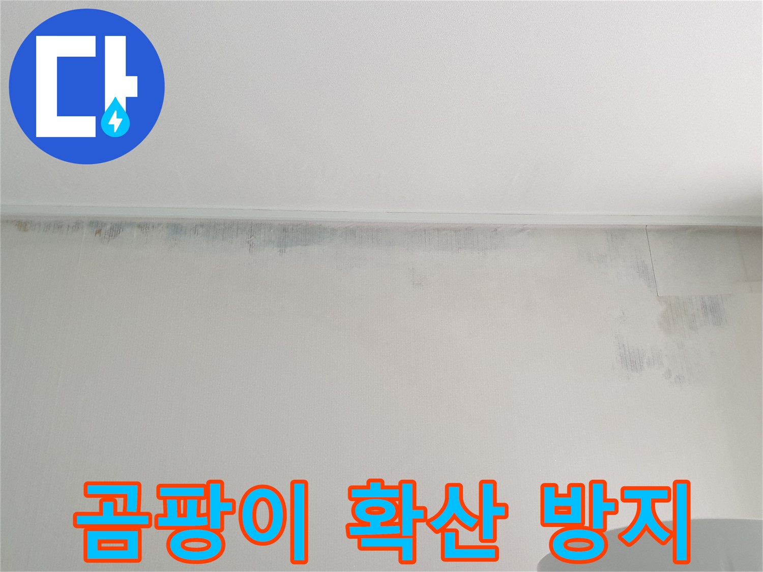 노원구 중계동 아파트 천장 누수 - 곰팡이 확산 방지 긴급 시공
