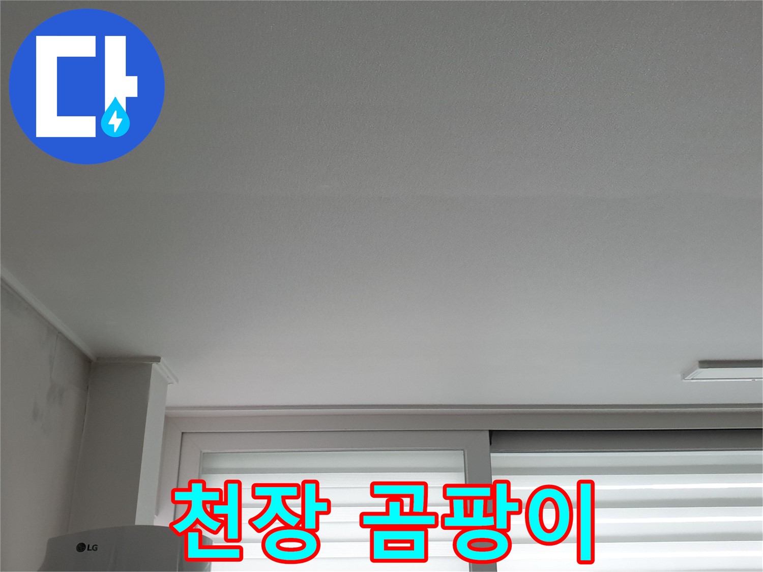 노원구 중계동 청구3차 아파트 천장에 발생한 곰팡이 - 건강에 해로울 수 있습니다.