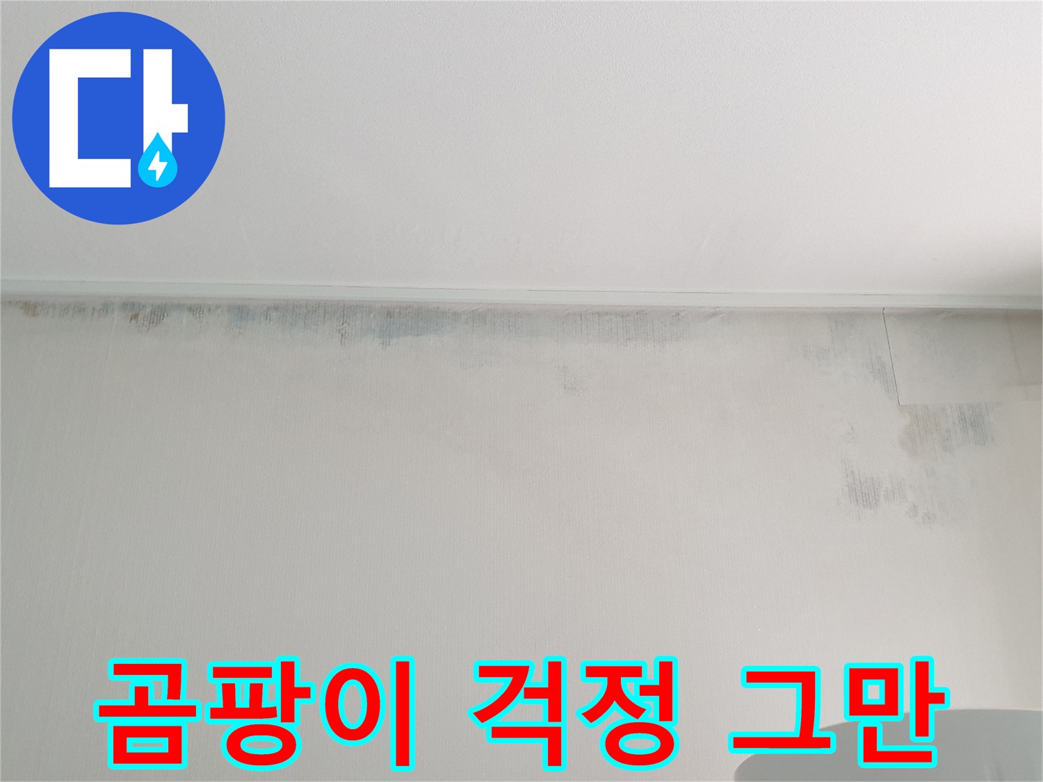 노원구 중계동 아파트 벽 누수 - 곰팡이 걱정 이제 그만