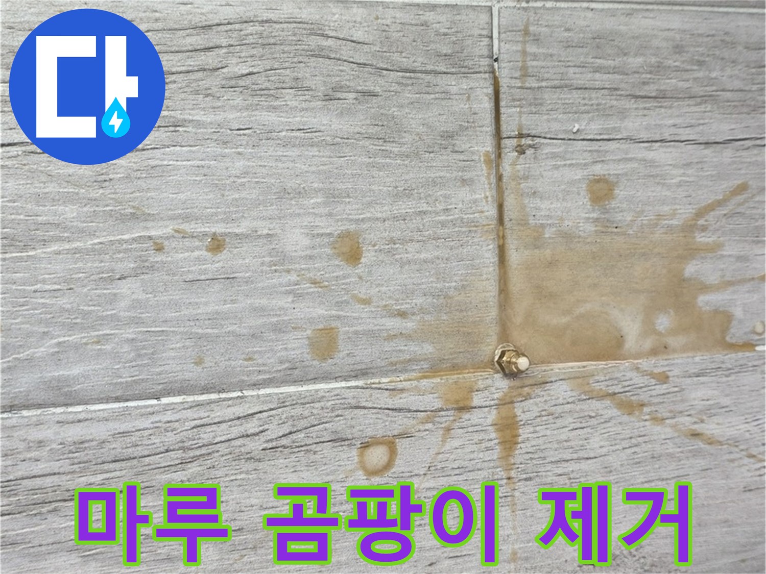 마루에 핀 곰팡이 - 인젝션 방수로 습기까지 잡아드립니다