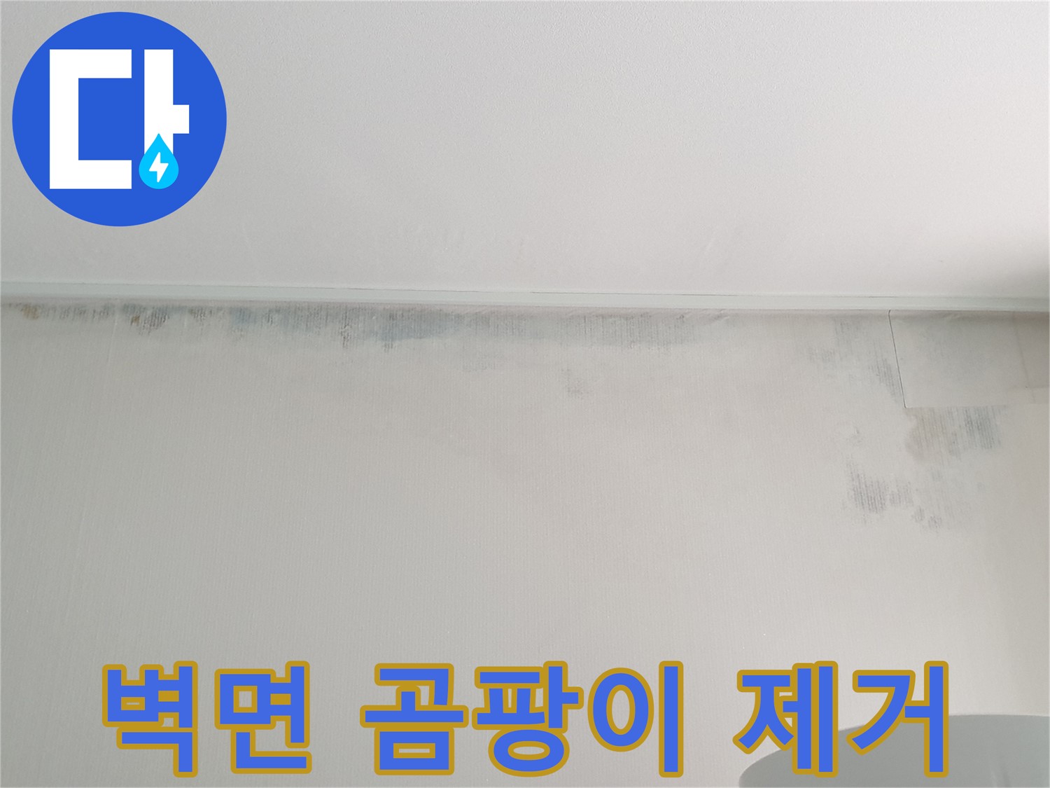 중계2동 청구3차 아파트 - 벽면 전체 곰팡이 긴급 제거
