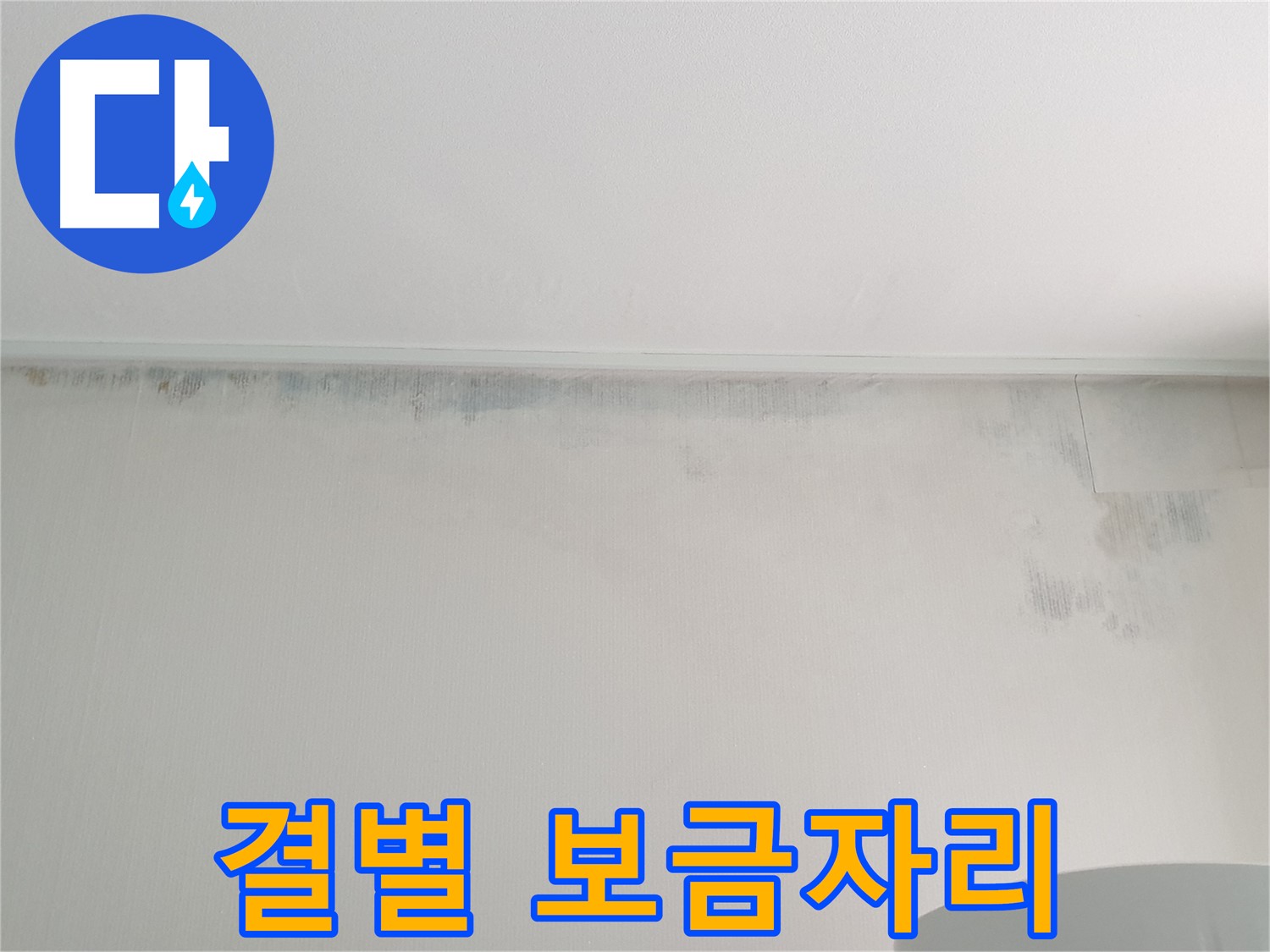 중계동 아파트 곰팡이 - 결별 쾌적한 보금자리