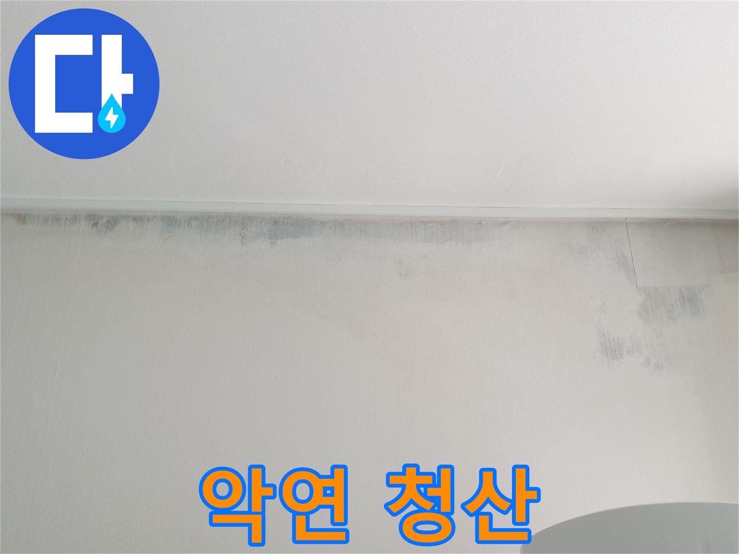 중계동 아파트 곰팡이 - 질긴 악연 청산