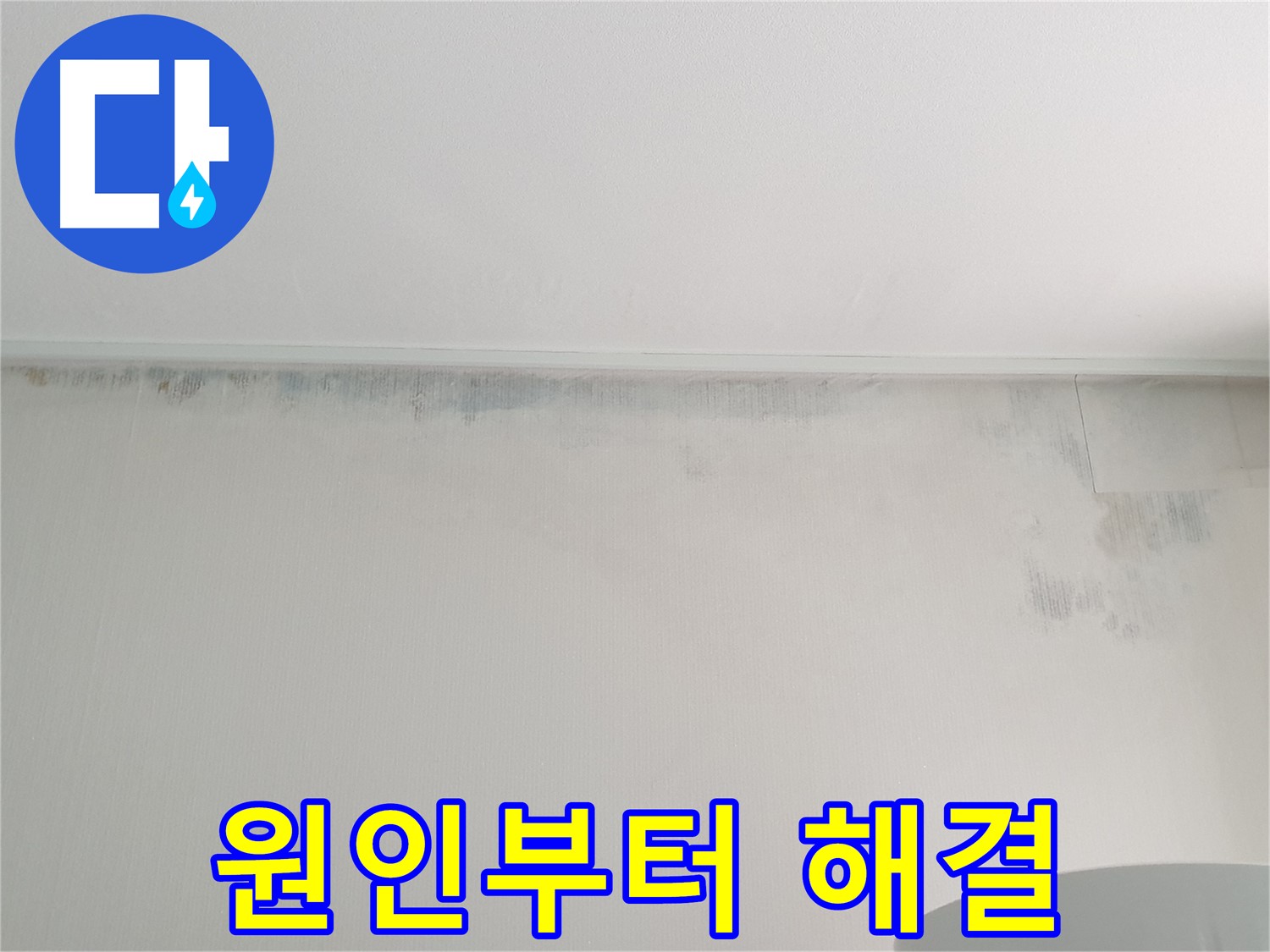 중계동 아파트 누수 곰팡이 - 원인부터 꼼꼼하게 해결