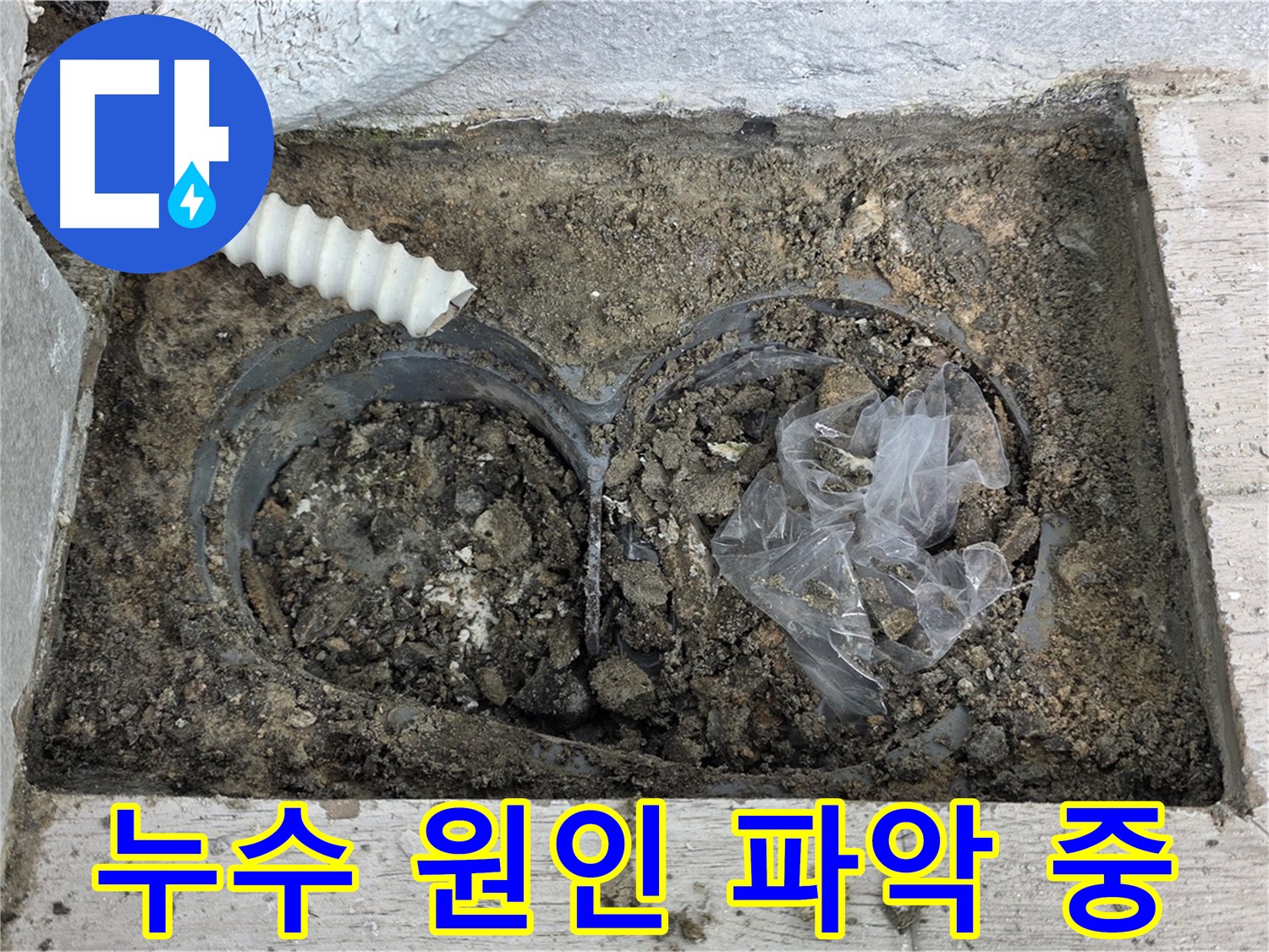 중계동 청구3차 아파트 누수 원인 파악을 위해 꼼꼼하게 주변을 점검하고 있습니다 - 노원구 누수탐지 전문 업체에서 정확한 진단을 제공합니다.