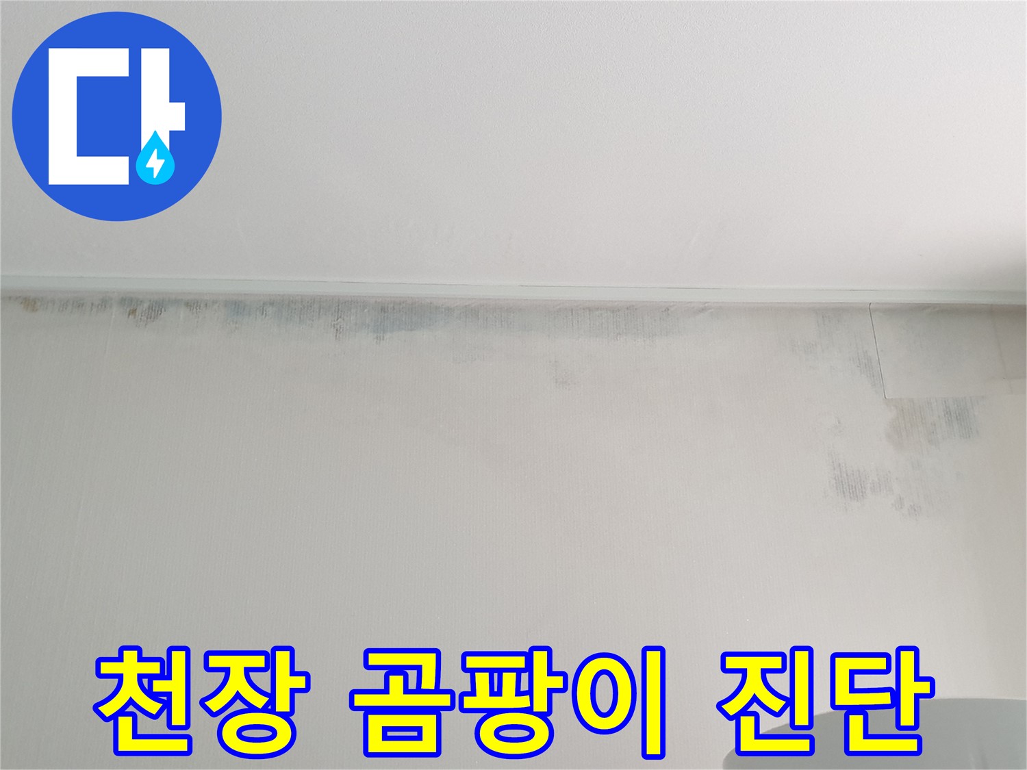 중계동 청구3차 아파트 천장 누수 - 곰팡이 긴급 진단