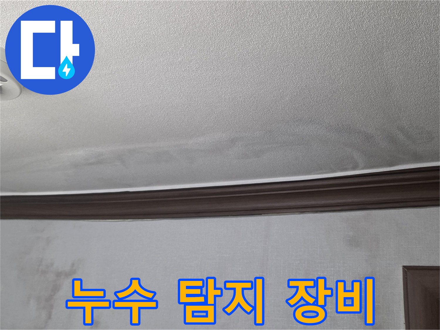 강북구 미아동 빌라 천장 누수 - 정확한 누수 지점 탐지를 위한 장비 준비
