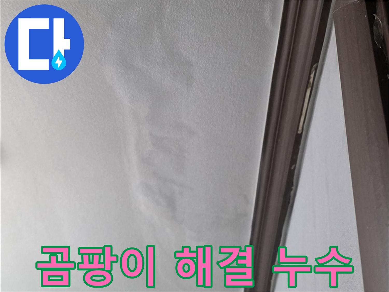 강북구 벽 누수 - 곰팡이 문제 해결
