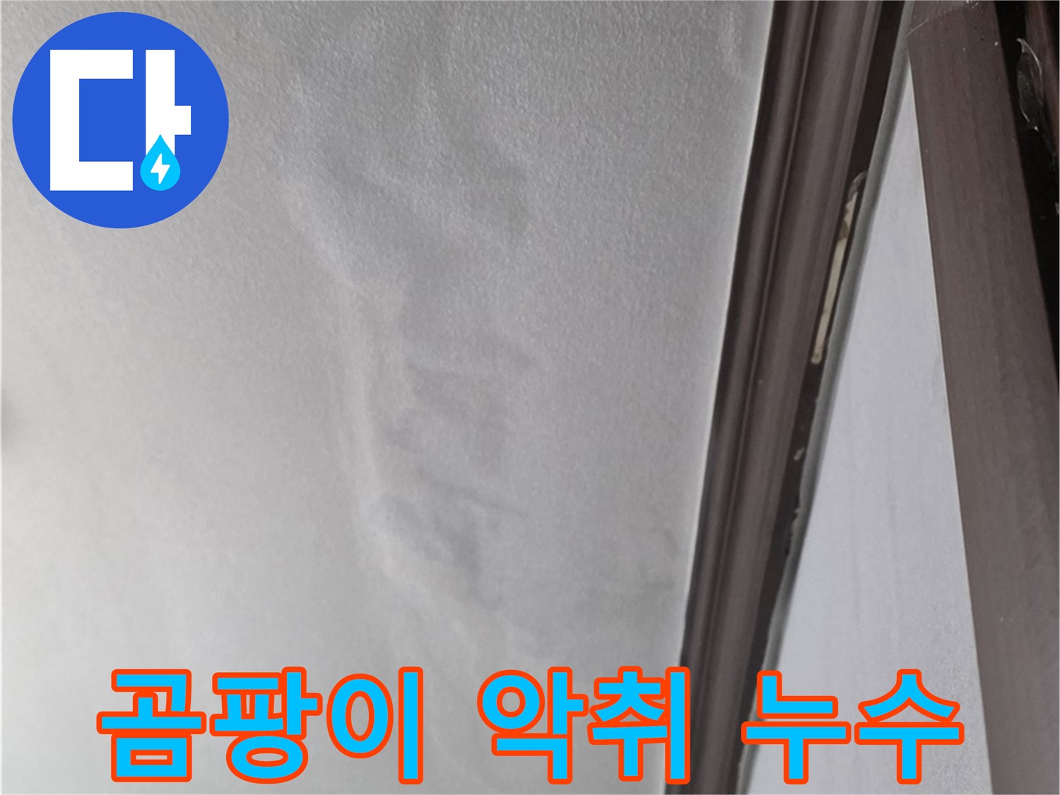 미아동 벽 누수 - 곰팡이와 악취
