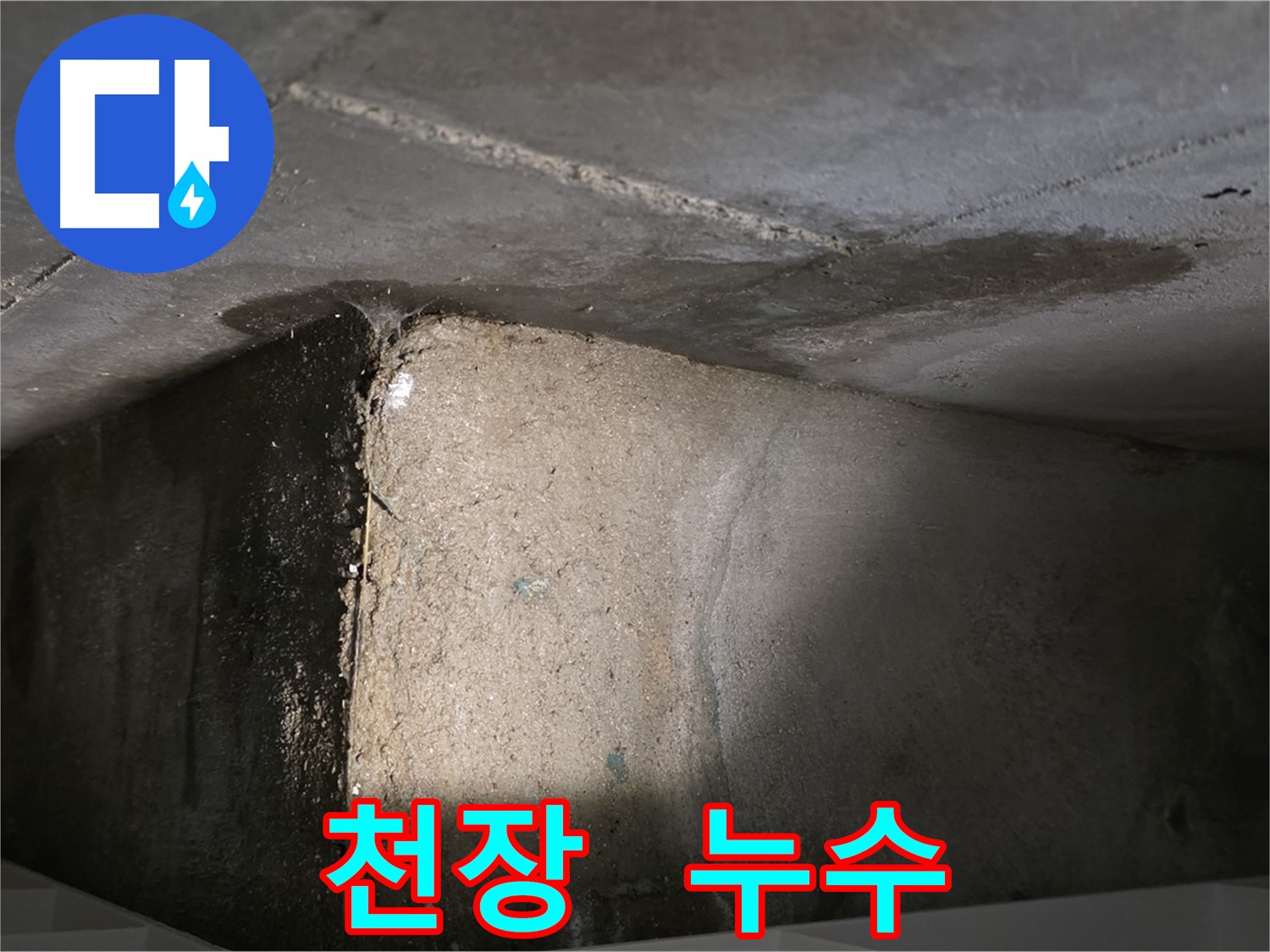장기동 아파트 누수 - 천장에서 누수가 발생하는 모습