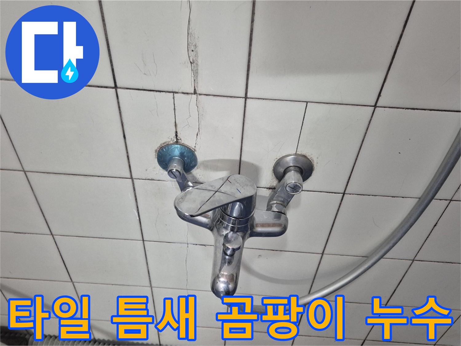 샤워기 수전 주변 타일 틈새 곰팡이 - 틈새 곰팡이로 인한 누수 의심