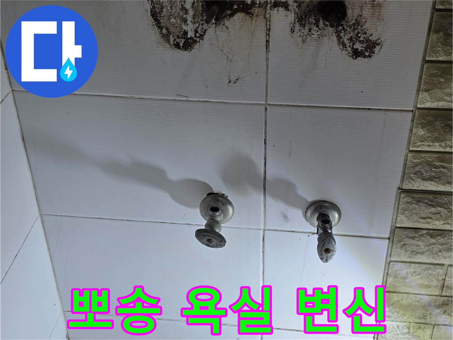 노원구 상계동 곰팡이 심한 욕실 - 누수 해결 후 뽀송뽀송한 욕실로 변신시켜 드립니다.