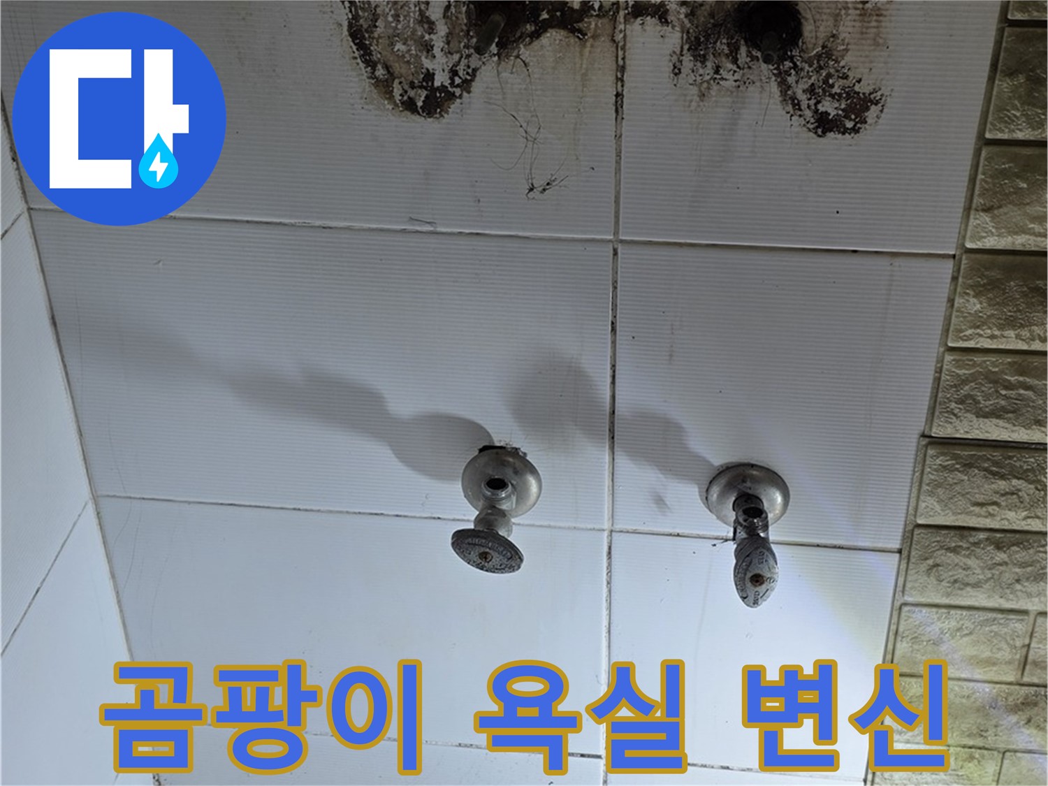 상계동 곰팡이 가득한 욕실 - 누수 문제를 해결하고 깨끗하게 변신시켜 드립니다.