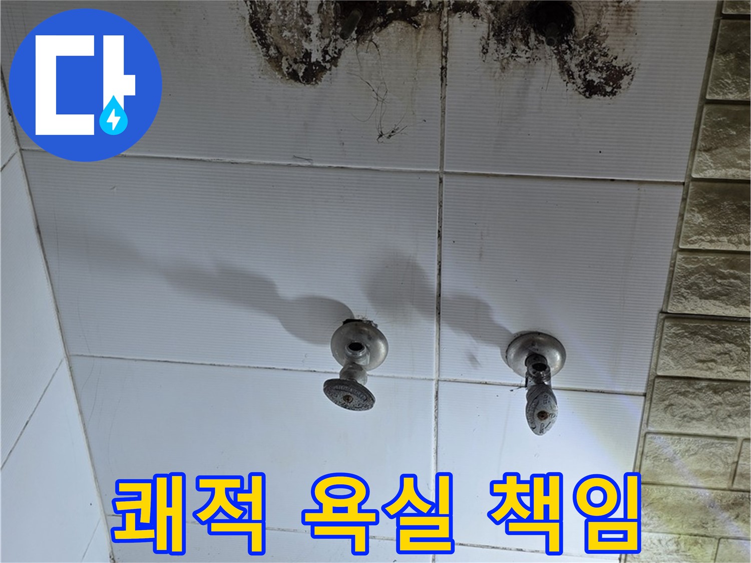상계동 곰팡이 핀 욕실 벽 - 누수 원인을 정확히 파악하고 곰팡이까지 깨끗하게 제거해 드립니다.