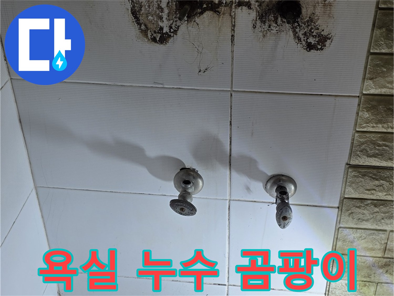 상계동 욕실 누수로 인한 곰팡이 발생 - 누수탐지 전문 업체에서 정확한 진단과 해결책을 제시합니다.