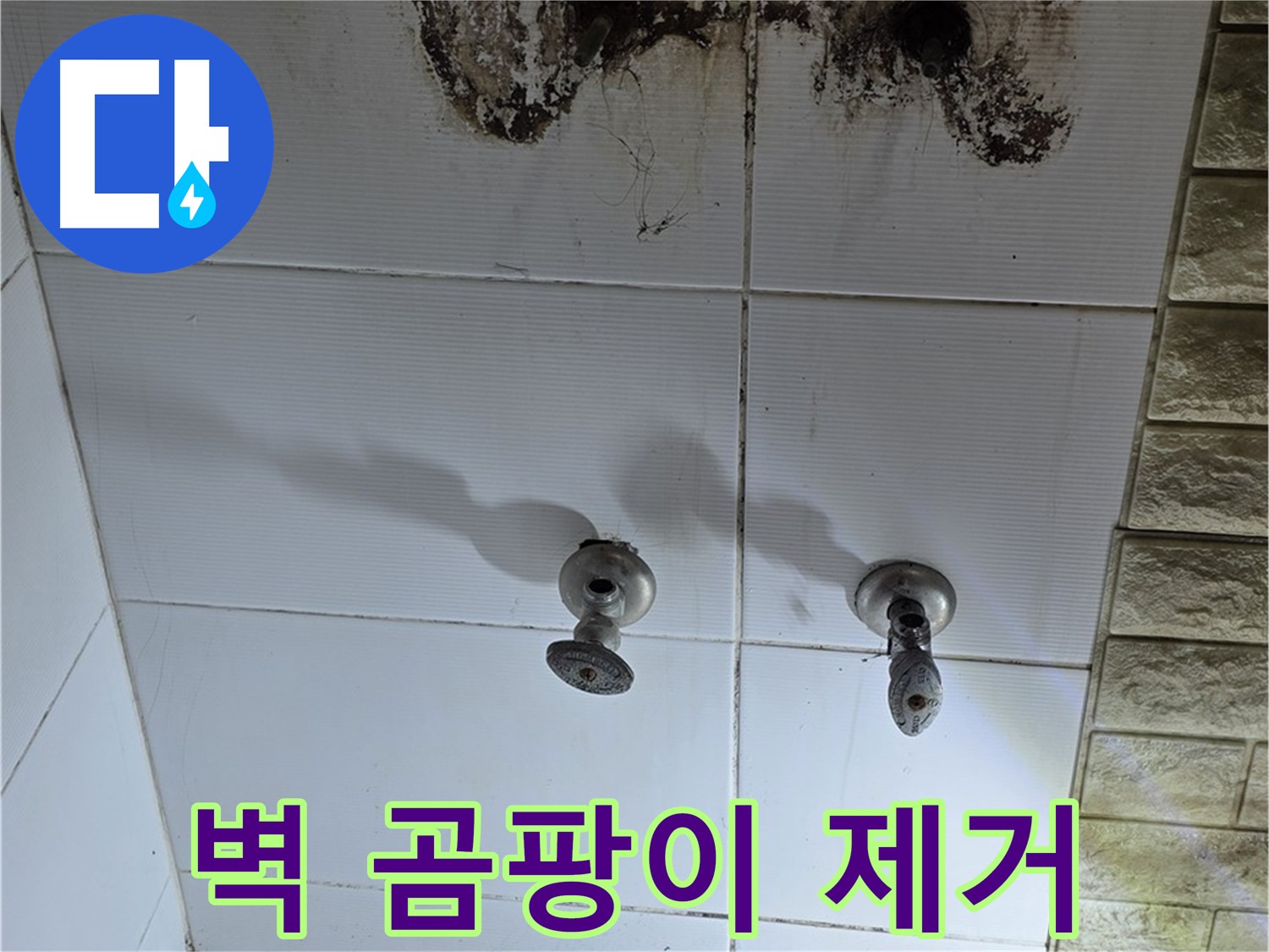 상계동 욕실 벽 곰팡이 제거 - 누수 원인을 먼저 해결해야 곰팡이 재발을 막을 수 있습니다.