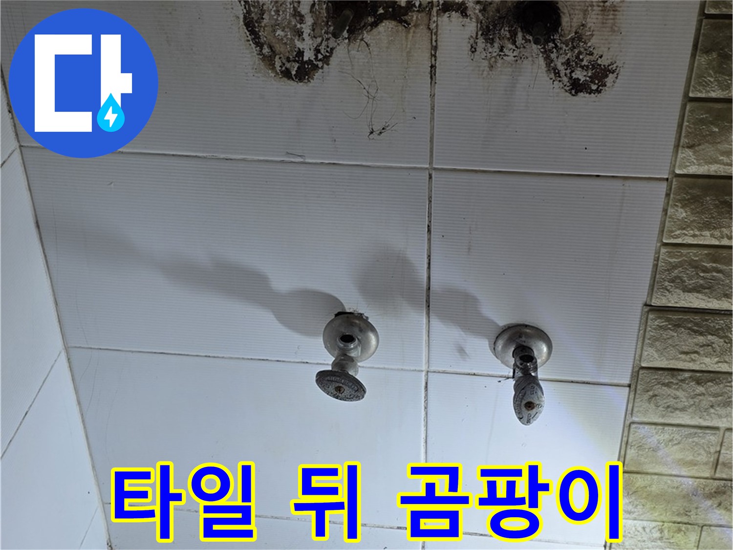 상계동 욕실 타일 뒤 곰팡이 - 숨은 누수를 찾아 해결하는 전문 업체를 소개합니다.