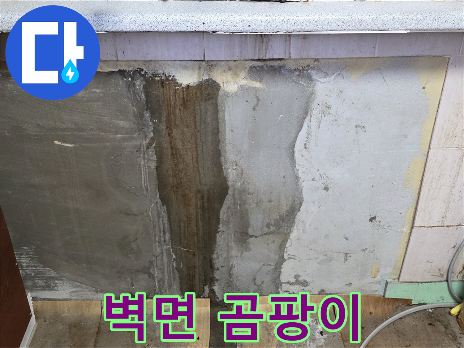 벽면 곰팡이 - 누수로 인해 벽면에 곰팡이가 발생한 모습입니다.