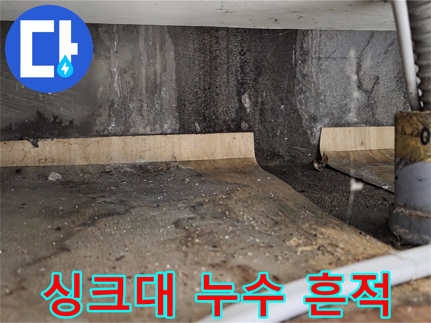싱크대 누수 - 곰팡이 번식 주의