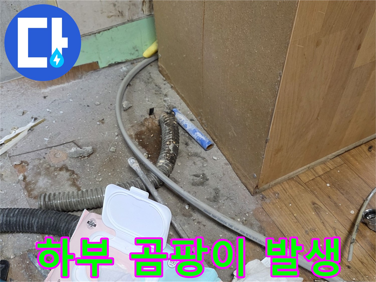 하부 곰팡이 발생 - 누수로 인해 싱크대 하부에 곰팡이가 발생했습니다.