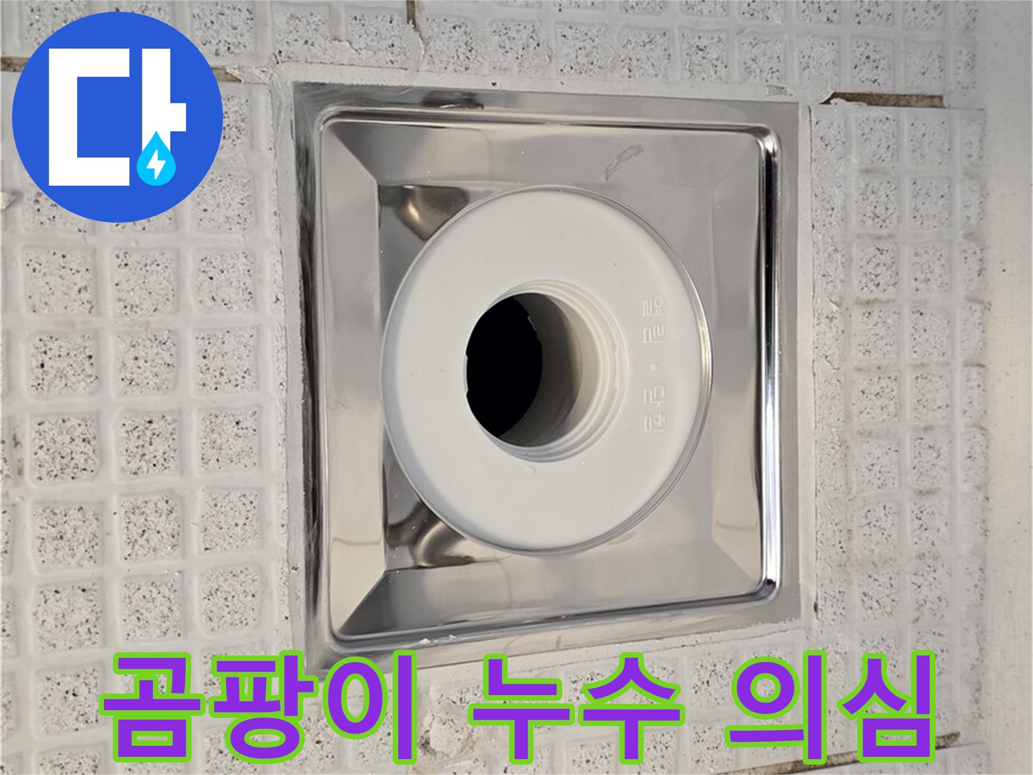 문원동 욕실 배수구 주변 곰팡이 - 누수 가능성 진단 및 곰팡이 제거