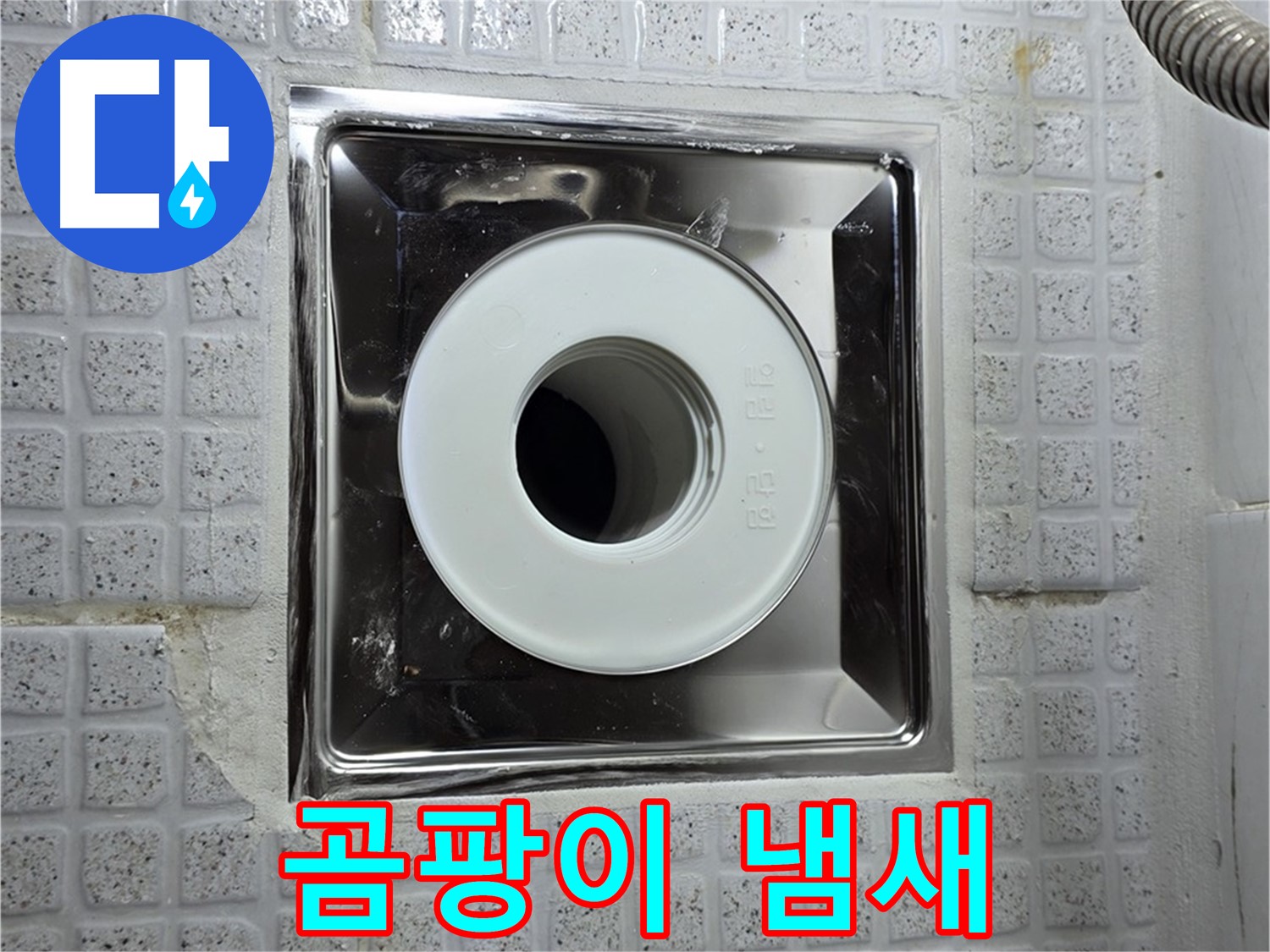 욕실 배수구 주변 곰팡이 냄새 - 누수와 건강에 적신호가 켜졌습니다.