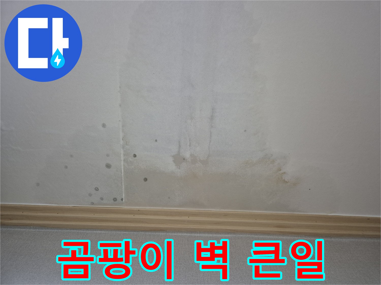 곰팡이로 뒤덮인 벽면 - 방치 시 발생할 수 있는 위험을 경고하는 사진
