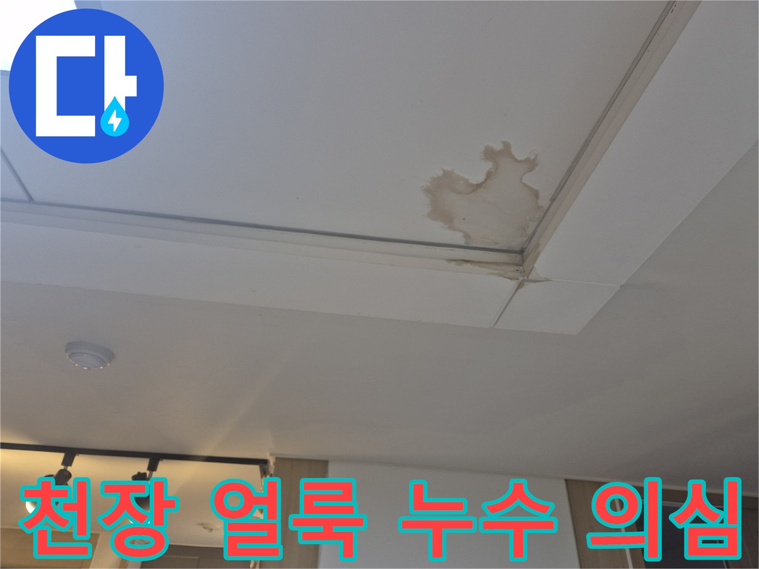 고양시 일산서구 천장 누수 - 얼룩덜룩한 천장 - 누수 의심 시 점검 필요