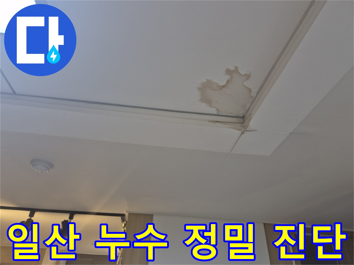 일산 아파트 천장 누수 - 누수탐지 전문 장비와 기술력으로 완벽하게 해결