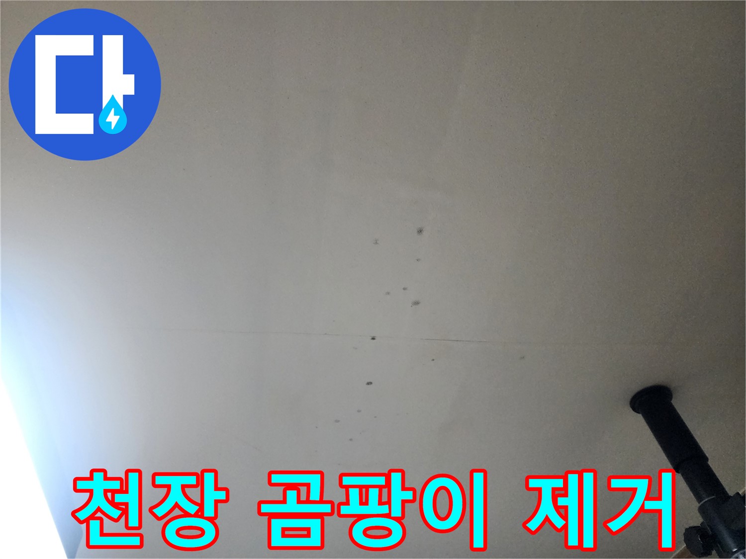 천장 곰팡이 제거 - 누수로 인한 천장 곰팡이 원인을 제거하고 깨끗하게 만들어 드립니다.