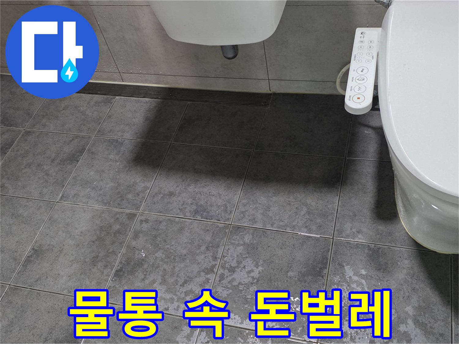 노원구 누수 - 변기 물탱크 돈벌레 - 비위생적 - 재수 없어