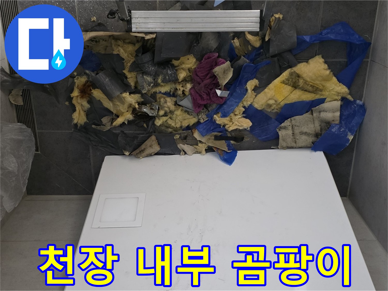 노원구 중계동 라이프청구신동아 아파트 욕실 천장 내부 - 누수로 인한 곰팡이 발생