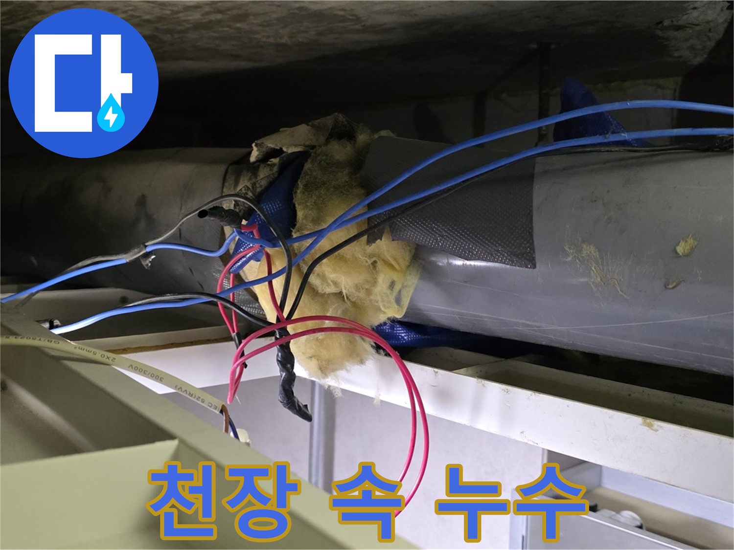 노원구 중계동 라이프청구신동아 아파트 천장 속 숨은 누수 발견 - 꼼꼼한 탐지로 해결