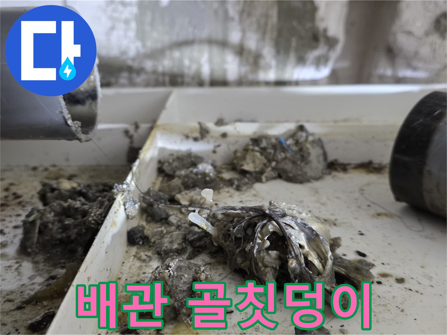 노원구 중계동 라이프청구신동아아파트 - 배관 속 '골칫덩이' 완벽 제거, 누수 해결사 출동