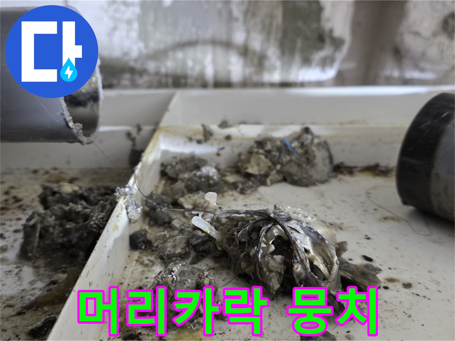 노원구 중계동 라이프청구신동아아파트 - 배관 속 머리카락 뭉치 - 누수 공포