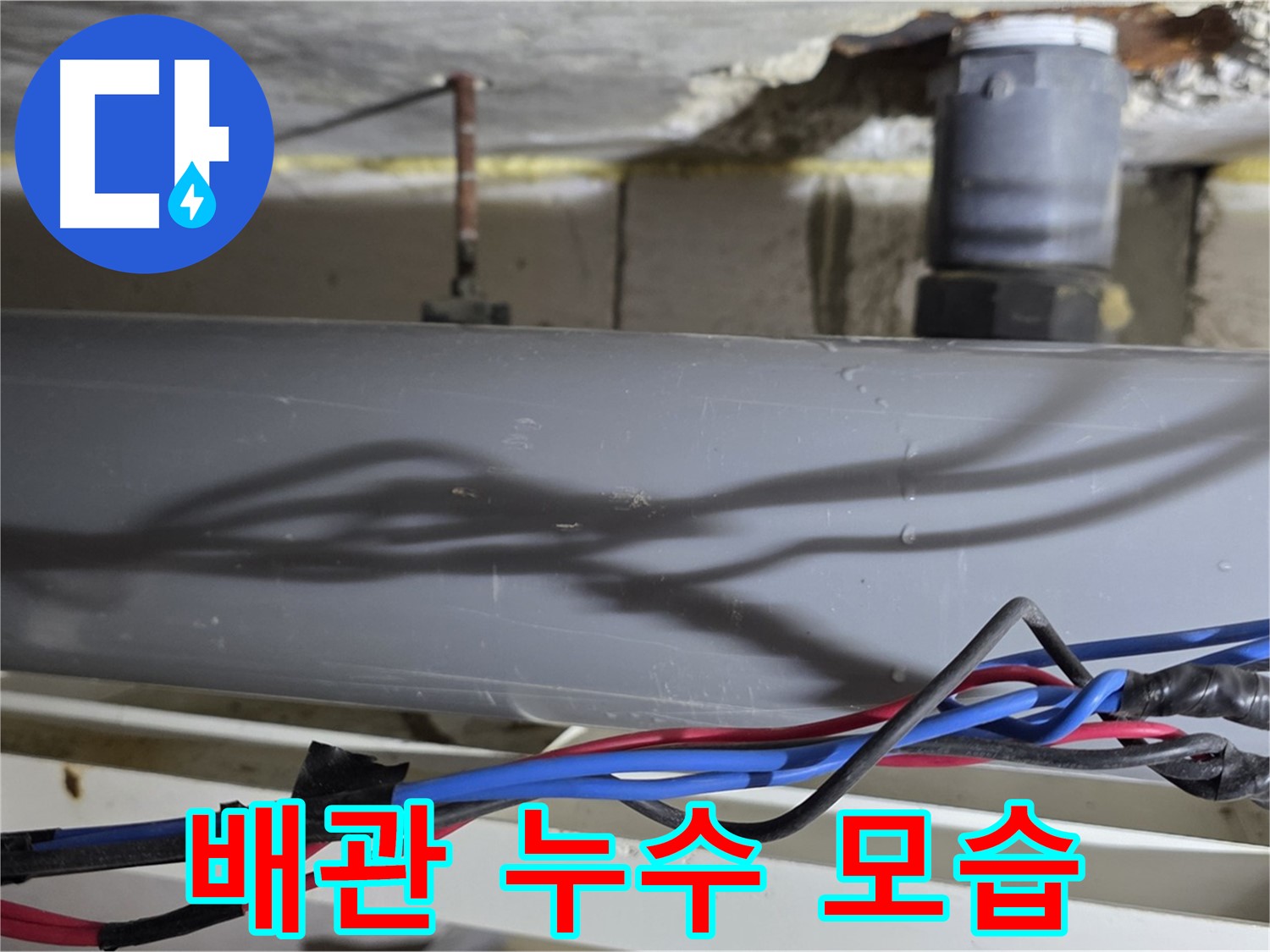 노원구 중계본동 라이프청구신동아 아파트 배관 누수 모습 - 누수탐지 전문 업체가 정확한 진단과 완벽한 해결을 약속드립니다.