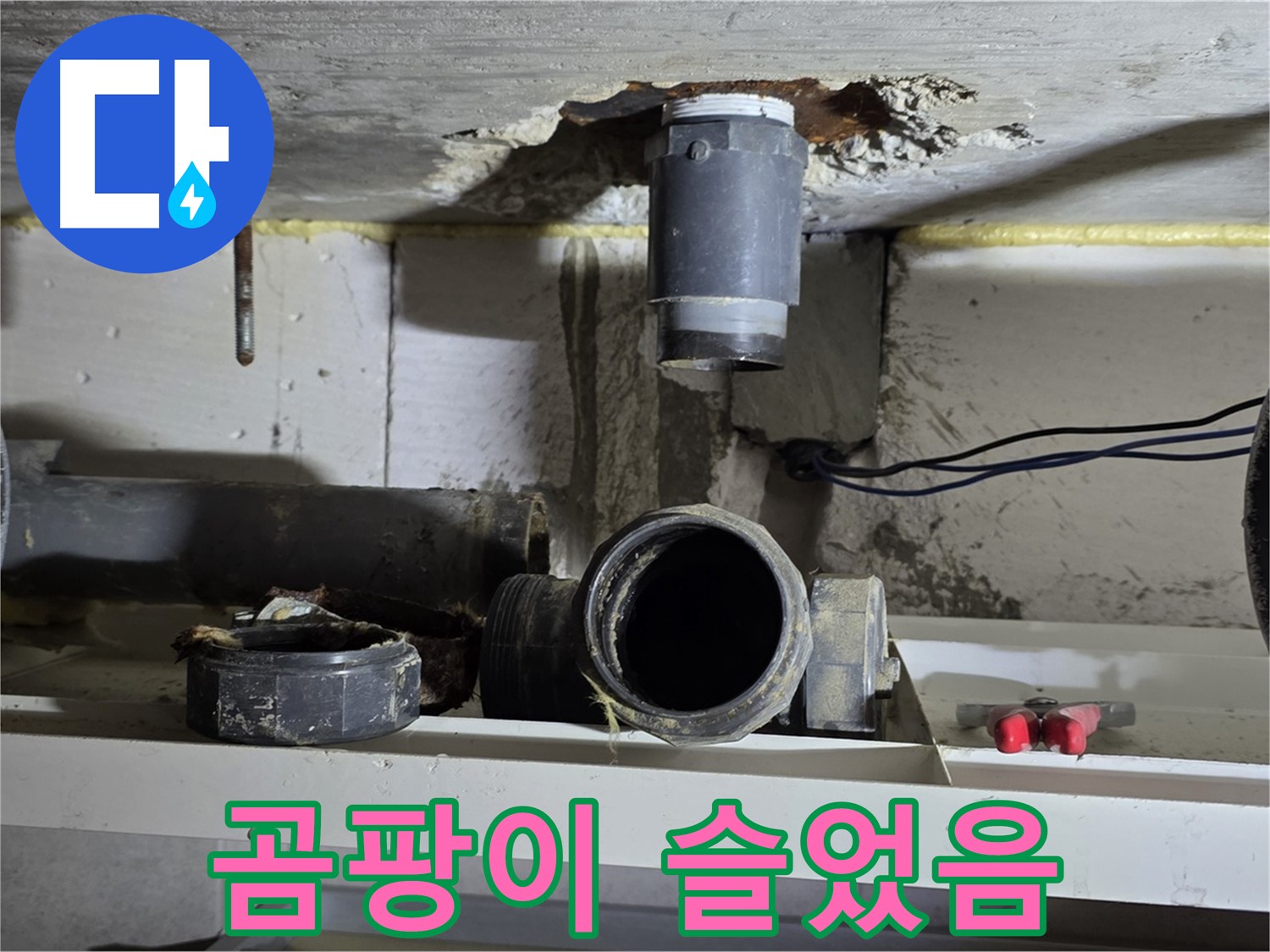 배관 연결 부위 - 곰팡이 발생 - 청소 필요