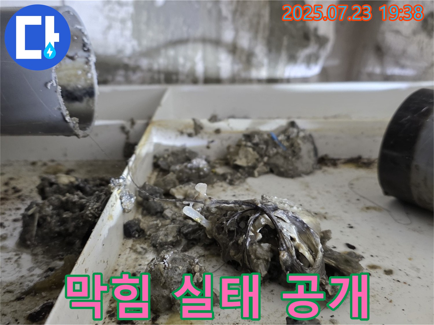중계동 라이프청구신동아 아파트 - 배수관 막힘 실태, 기름 덩어리와 찌꺼기