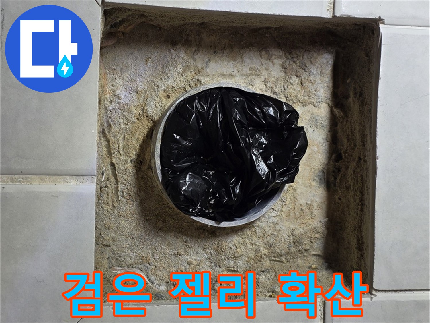 과천 누수 - 욕실 하수구 검은 젤리의 습격, 누수 공포 확산