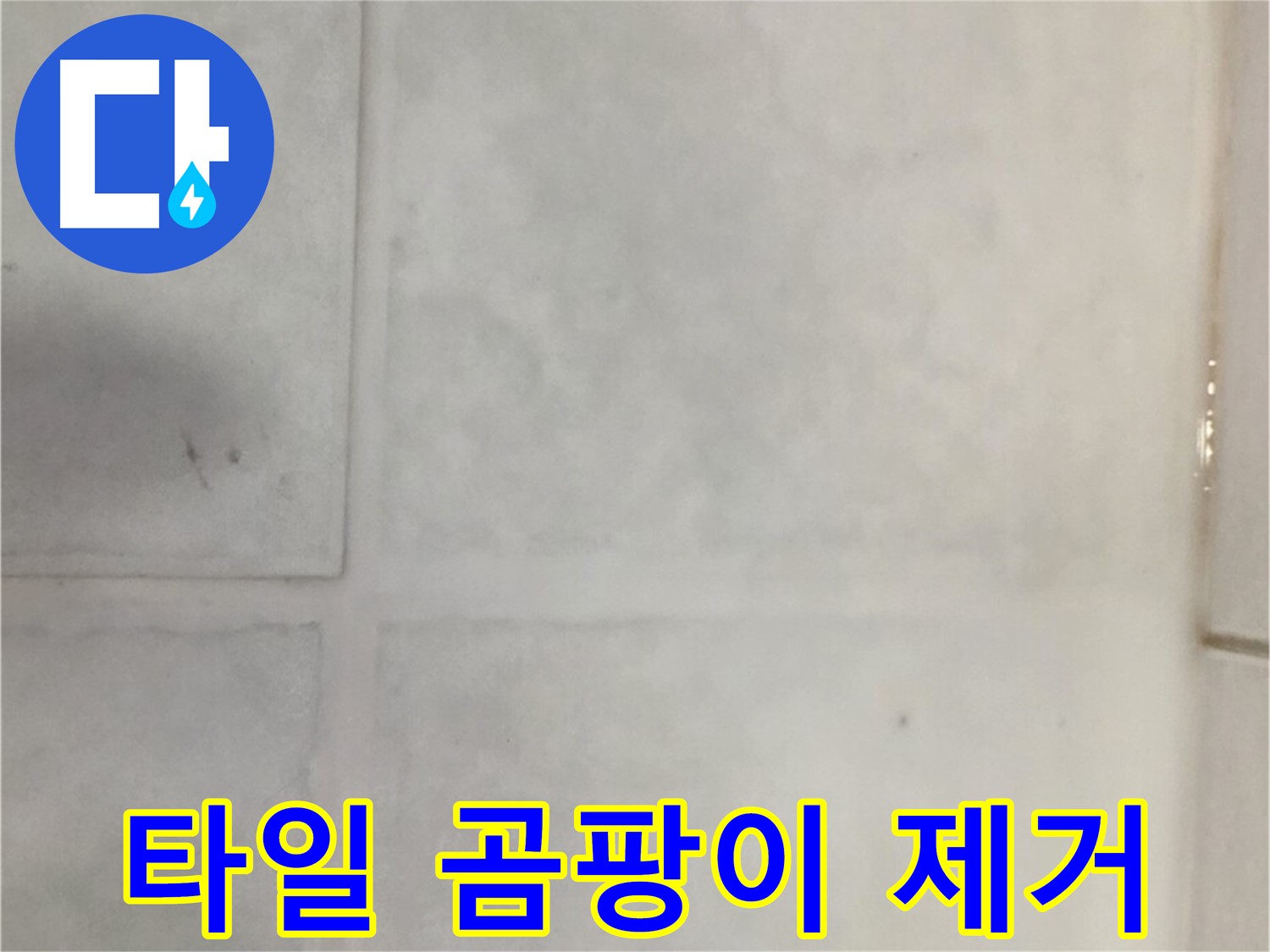 과천 누수 - 타일 곰팡이 번식 누수 해결, 곰팡이 제거 및 방수 실리콘 시공