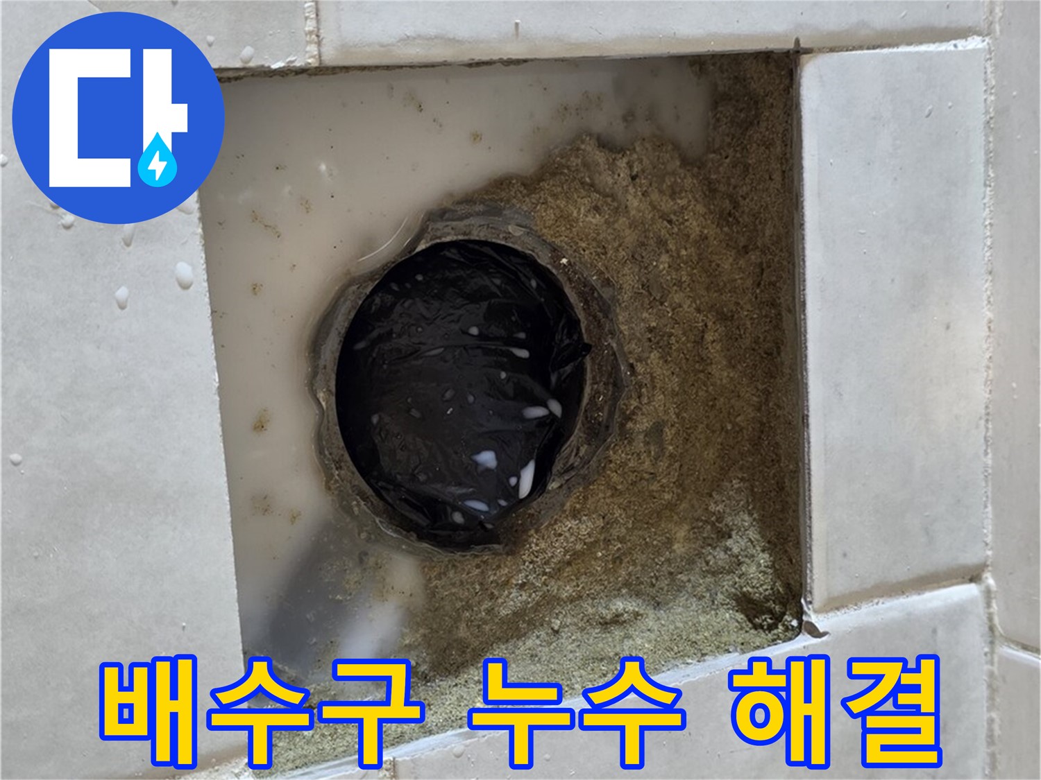 과천 문원동 욕실 배수구 누수 - 젖어있는 배수구 주변, 숙련된 기술로 완벽하게 해결